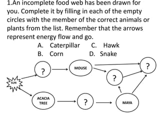 1.An incomplete food web has been drawn for
you. Complete it by filling in each of the empty
circles with the member of the correct animals or
plants from the list. Remember that the arrows
represent energy flow and go.
A. Caterpillar C. Hawk
B. Corn D. Snake
ACACIA
TREE
MOUSE
MAYA
SUN
?
?
?
?
 