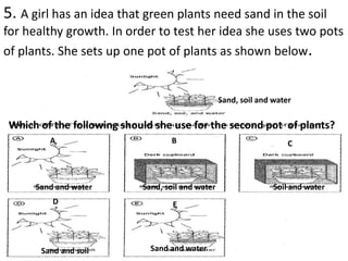 5. A girl has an idea that green plants need sand in the soil
for healthy growth. In order to test her idea she uses two pots
of plants. She sets up one pot of plants as shown below.
Which of the following should she use for the second pot of plants?
A B C
E
D
Sand, soil and water
Sand and water
Sand and water
Sand, soil and water
Sand and soil
Soil and water
 