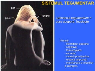 Latinescul tegumentum =
care acoperă, înveleşte
unghii
piele
păr
-Funcţii
- delimitare, aparare;
- cognitivă;
- termoreglare;
- excreţie;
- sinteză previtamine;
- rezervă adipoasă;
- manifestare a infecţiilor
şi alergiilor.
SISTEMUL TEGUMENTAR
 