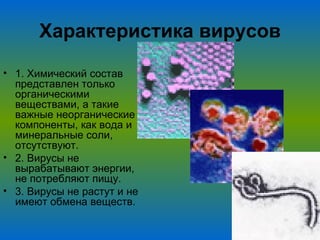Характеристика вирусов 1. Химический состав представлен только органическими веществами, а такие важные неорганические компоненты, как вода и минеральные соли, отсутствуют. 2. Вирусы не вырабатывают энергии, не потребляют пищу. 3. Вирусы не растут и не имеют обмена веществ. 