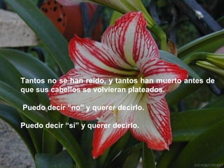 Tantos no se han reído, y tantos han muerto antes de que sus cabellos se volvieran plateados. Puedo decir “no” y querer decirlo.  Puedo decir “si” y querer decirlo.   