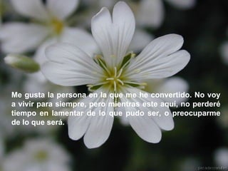 Me gusta la persona en la que me he convertido. No voy a vivir para siempre, pero mientras este aquí, no perderé tiempo en lamentar de lo que pudo ser, o preocuparme de lo que será.   