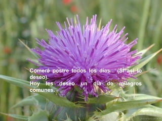 Comeré postre todos los días... (Si así lo deseo). Hoy les deseo un día de milagros comunes. 