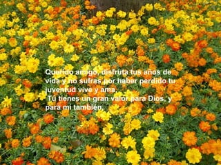 Querido amigo, disfruta tus años de vida y no sufras por haber perdido tu juventud vive y ama. Tú tienes un gran valor para Dios, y para mí también. 