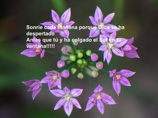 Sonrie cada mañana porque Dios se ha despertado  Antes que tú y ha colgado el Sol en tu ventana!!!!! 