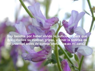 Soy bendita por haber vivido lo suficiente para que mis cabellos se vuelvan grises, y tener la sonrisa de mi juventud antes de surcos profundos en mi cara.  