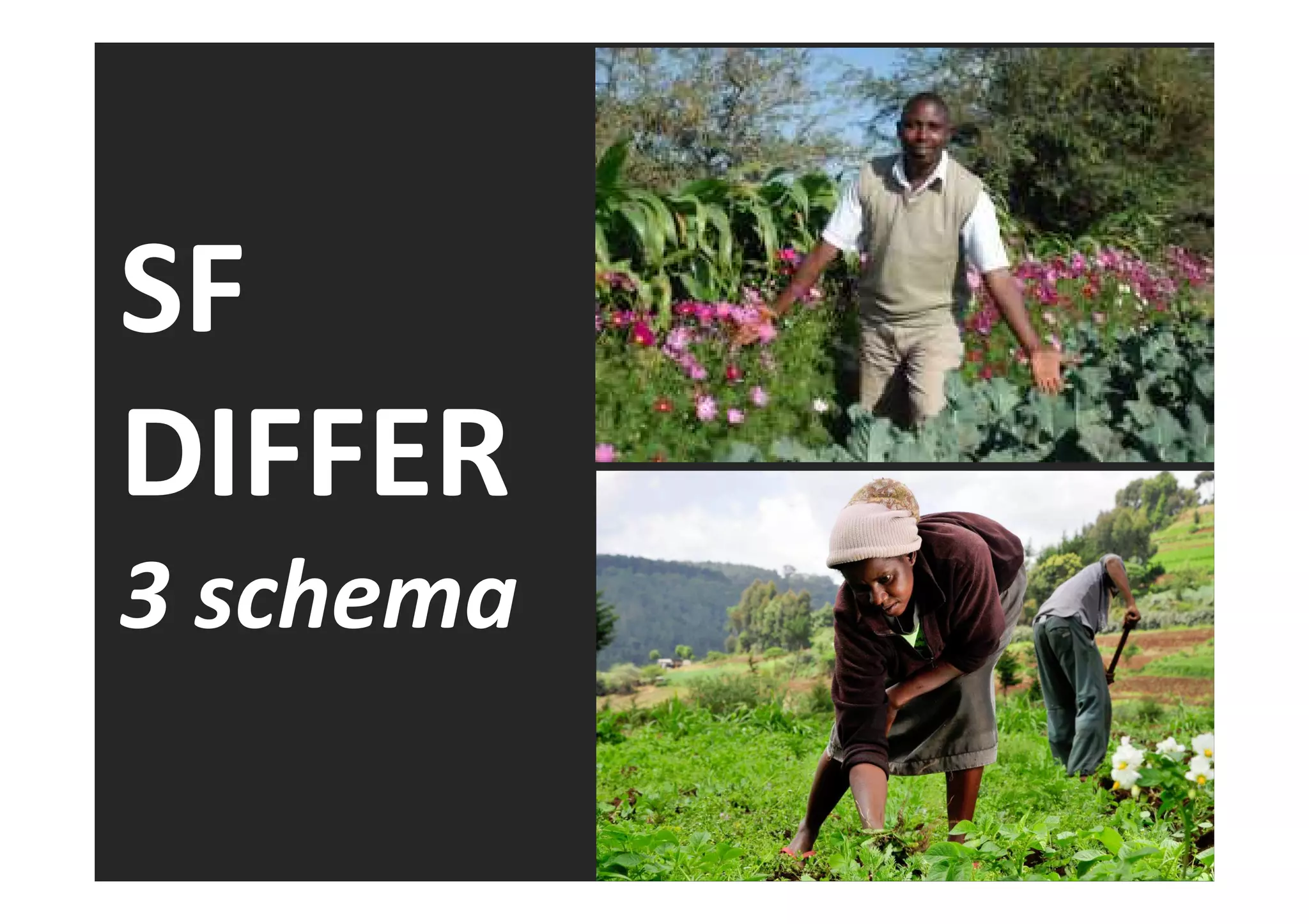 SF 
DIFFER 
3 schema 
 