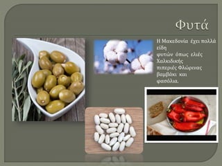 Η Μακεδονία έχει πολλά
είδη
φυτών όπως ελιές
Χαλκιδικής
πιπεριές Φλώρινας
βαμβάκι και
φασόλια.
 