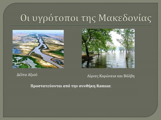 Δέλτα Αξιού Λίμνες Κορώνεια και Βόλβη
Προστατεύονται από την συνθήκη Ramsar.
 