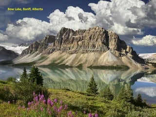 Bow Lake, Banff, Alberta
 