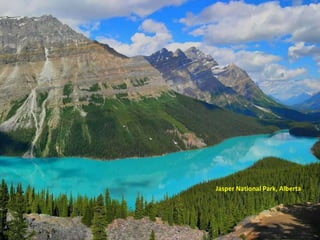 Jasper National Park, Alberta
 