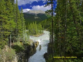 Sunwapta Falls, Jasper, Alberta
 