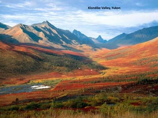 Klondike Valley, Yukon
 