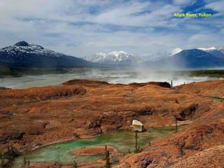 Alsek River, Yukon
 
