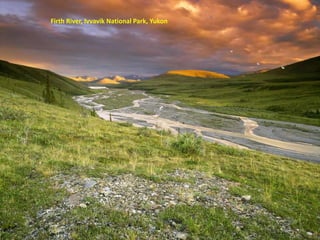 Firth River, Ivvavik National Park, Yukon
 