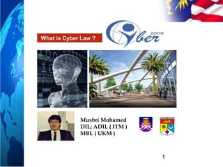 24227541 cyber-law