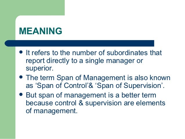 24255079 spanofmanagement
