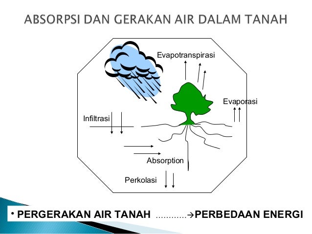 65+ Gambar Air Dalam Tanah Paling Hist 65+ Gambar Air Dalam Tanah Paling Hist