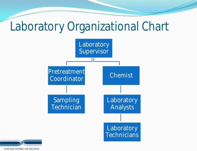 Laboratory Organizational Chart Sample