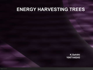 ENERGY HARVESTING TREES

K.Sahithi
10AT1A0243

 