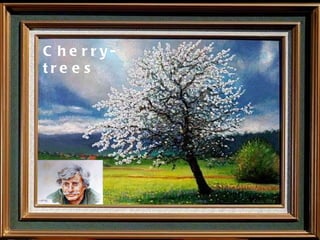 Cherry- trees 