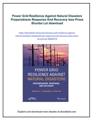 Power Grid Resilience Against Natural Disasters Preparedness Response ...
