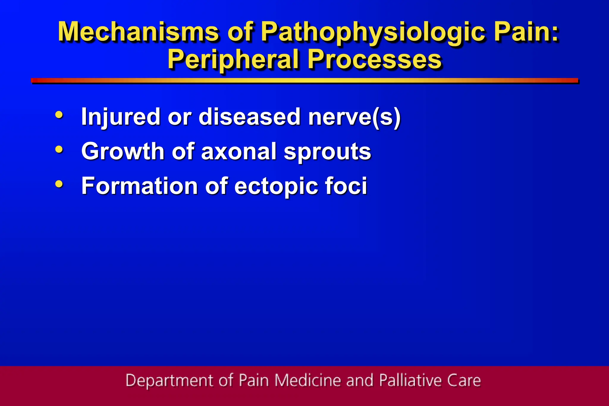 243500 pain pathophysiology describe.ppt