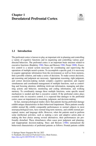 Dorsolateral Prefrontal Cortex Working Memory And Executive Functions ...