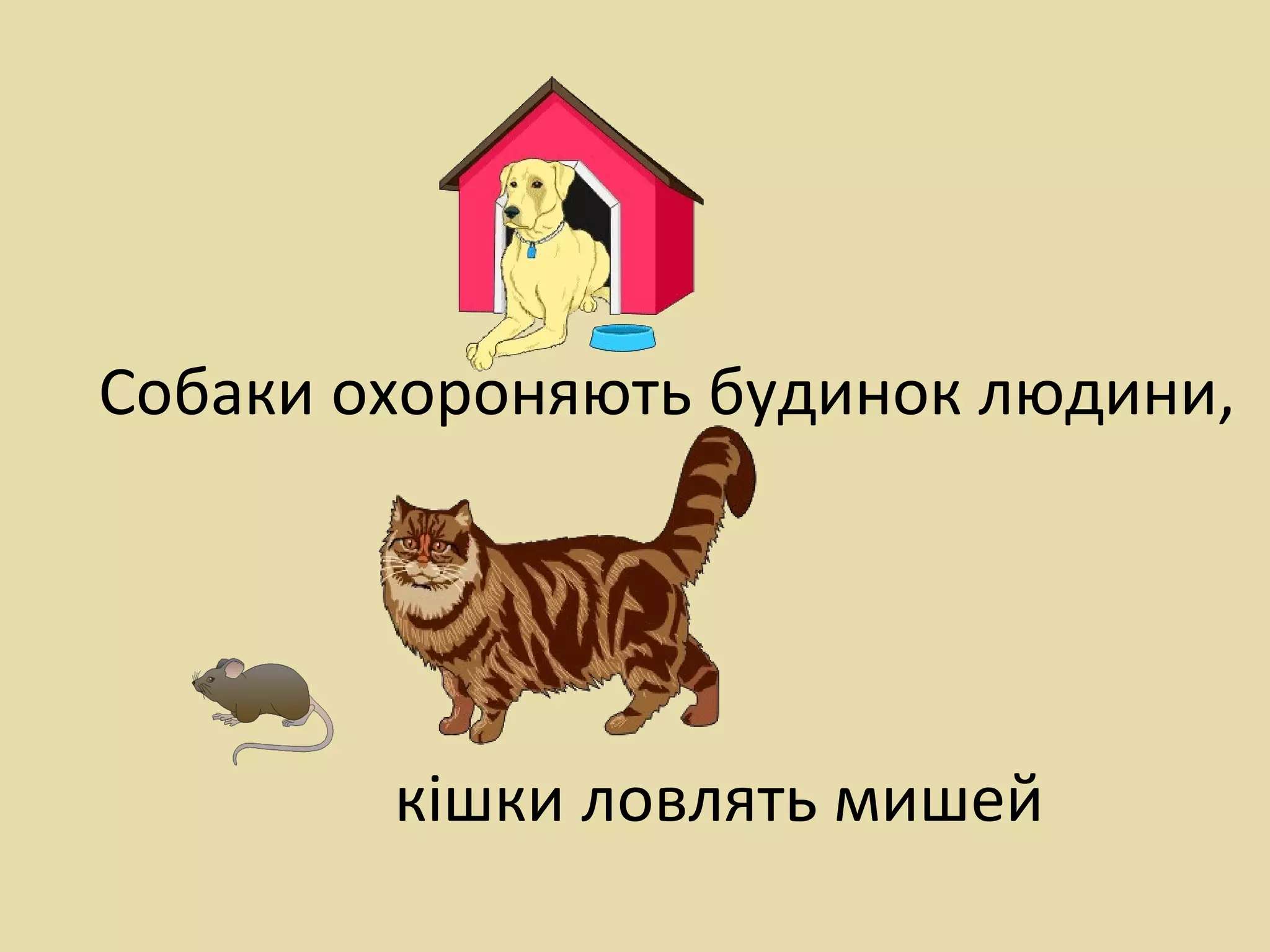 кішки ловлять мишей
Собаки охороняють будинок людини,
 