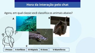 Hora da interação pelo chat
Agora, em qual classe você classifica os animais abaixo?
A B
C
I-Peixes II-Anfíbios III-Répteis IV-Aves V-Mamíferos
 