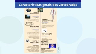 Características gerais dos vertebrados
©
PIxabay
 