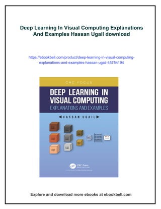 Visual Computing Example Picture Deep Learning In Visual Computing Explanations And Examples Hassan ...