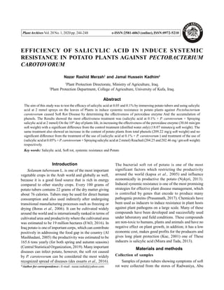 EFFICIENCY OF SALICYLIC ACID IN INDUCE SYSTEMIC
RESISTANCE IN POTATO PLANTS AGAINST PECTOBACTERIUM
CAROTOVORUM
Nazar Rashid Merzah1
and Jamal Hussein Kadhim2
1
Plant Protection Directorate, Ministry of Agriculture, Iraq.
2
Plant Protection Department, College of Agriculture, University of Kufa, Iraq.
Abstract
The aim of this study was to test the efficacy of salicylic acid at 0.05 and 0.1% by immersing potato tubers and using salicylic
acid at 2 mmol sprays on the leaves of Plants in induce systemic resistance in potato plants against Pectobacterium
carotovorum caused Soft Rot Disease by determining the effectiveness of peroxidase enzyme And the accumulation of
phenols. The Results showed the most effectiveness treatment was (salicylic acid at 0.1% + P. carotovorum + Spraying
salicylic acid at 2 mmol) On the 10th
dayof plants life, in increasing the effectiveness of the peroxidase enzyme (30.66 min/gm
soft weight) with a significant difference from the control treatment (distilled water only) (18.07 minutes/g soft weight). The
same treatment also showed an increase in the content of potato plants from total phenols (209.22 mg/g soft weight) and no
significant difference from the treatment of the use of (salicylic acid at 0.1% + P. carotovorum ) and treatment of the use of
(salicylic acidat 0.05% + P. carotovorum + Sprayingsalicylic acid at 2 mmol) Reached (204.25 and202.46 mg/ gmsoft weight)
respectively.
Key words: Salicylic acid, Soft rot, systemic resistance and Potato
Introduction
Solanum tuberosum L. is one of the most important
vegetable crops in the Arab world and globally as well,
because it is a good food source that is rich in energy
compared to other starchy crops. Every 100 grams of
potato tubers contains 22 grams of the dry matter giving
about 76 calories. Tubers may be used for direct human
consumption and also used indirectly after undergoing
transitional manufacturing processes such as freezing or
drying (Boras et al., 2006). It can be cultivated widely
around the world and is internationally ranked in terms of
cultivated area and productivity where the cultivated area
was estimated to be 19 million hectares (FAO, 2016). In
Iraq potatois oneof important corps, which can contribute
positively in addressing the food gap in the country (Al
Mashhadani, 2005) the productivity was estimated to be
165.6 tons yearly (for both spring and autumn seasons)
(Central Statistical Organization, 2019). Manyimportant
diseases can infect potato, however, the soft rot caused
by P. carotovorum can be considered the most widely
recognized spread of diseases (des essarts et al., 2016).
The bacterial soft rot of potato is one of the most
significant factors which restricting the productivity
around the world (kapsa et al., 2005) and influence
economically in productive the potato (Nykyri, 2013).
Induced systemic resistance is one of the most promising
strategies for effective plant disease management, which
is controlled by genes that encode to produce many
pathogenic proteins (Prasannath, 2017). Chemicals have
been used as inducers to induce resistance in plant hosts
against plant pathogens on a large scale. Many of these
compounds have been developed and successfully used
under laboratory and field conditions. These compounds
are non-toxic to humans, plants and animals and have no
negative effect on plant growth, in addition; it has a low
economic cost, makes good profits for the producers and
gives long plant protection (Kuc, 2001) one of These
inducers is salicylic acid (Miura and Tada, 2013).
Materials and methods
Collection of samples
Samples of potato tubers showing symptoms of soft
rot were collected from the stores of Radwaniya, Abu
PlantArchives Vol. 20No. 1, 2020 pp.244-248 e-ISSN:2581-6063 (online),ISSN:0972-5210
*Author for correspondence : E-mail : nazar.rashid@yahoo.com
 