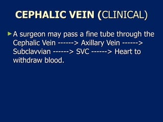 CEPHALIC VEIN ( CLINICAL) A surgeon may pass a fine tube through the Cephalic Vein ------> Axillary Vein ------> Subclavvian ------> SVC ------> Heart to withdraw blood.  
