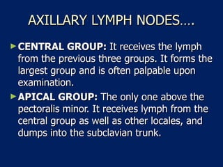 AXILLARY LYMPH NODES…. CENTRAL GROUP:  It receives the lymph from the previous three groups. It forms the largest group and is often palpable upon examination.  APICAL GROUP:  The only one above the pectoralis minor. It receives lymph from the central group as well as other locales, and dumps into the subclavian trunk.  