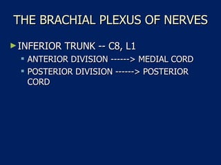 THE BRACHIAL PLEXUS OF NERVES INFERIOR TRUNK -- C8, L1  ANTERIOR DIVISION ------> MEDIAL CORD  POSTERIOR DIVISION ------> POSTERIOR CORD  