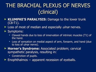 THE BRACHIAL PLEXUS OF NERVES (clinical) KLUMPKE'S PARALYSIS:  Damage to the lower trunk (C8-T1).  Loss of most of median and especially  ulnar  nerves.  Symptoms:  Clawed hands due to loss of innervation of intrinsic muscles (T1) of the hand.  Loss of sensation on medial aspect of arm, forearm, and hand (due to loss of ulnar nerve).  Horner's Syndrome:  Associated problem; cervical sympathetic paralysis, resulting in:  Constriction of pupils.  Enophthalmos -- apparent recession of eyeballs.  