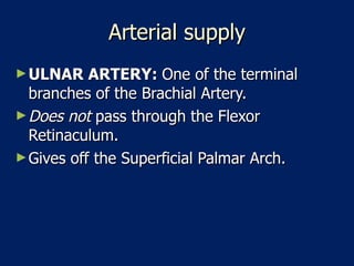 Arterial supply ULNAR ARTERY:  One of the terminal branches of the Brachial Artery.  Does not  pass through the Flexor Retinaculum.  Gives off the Superficial Palmar Arch.  