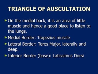 TRIANGLE OF AUSCULTATION On the medial back, it is an area of little muscle and hence a good place to listen to the lungs.  Medial Border: Trapezius muscle  Lateral Border: Teres Major, laterally and deep.  Inferior Border (base): Latissimus Dorsi  