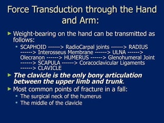 Force Transduction through the Hand and Arm:  Weight-bearing on the hand can be transmitted as follows:  SCAPHOID ------> RadioCarpal joints ------> RADIUS ------> Interosseus Membrane ------> ULNA ------> Olecranon ------> HUMERUS ------> Glenohumeral Joint ------> SCAPULA ------> Coracoclavicular Ligaments ------> CLAVICLE  The clavicle is the only bony articulation between the upper limb and trunk .  Most common points of fracture in a fall:  The surgical neck of the humerus  The middle of the clavicle  