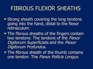 FIBROUS FLEXOR SHEATHS  Strong sheath covering the long tendons going into the hand, distal to the flexor retinaculum.  The fibrous sheaths of the fingers contain two tendons: The tendons of the  Flexor Digitorum Superficialis  and the  Flexor Digitorum Profundus .  The fibrous sheath of the thumb contains one tendon: The  Flexor Pollicis Longus.   