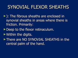 SYNOVIAL FLEXOR SHEATHS  ): The fibrous sheaths are enclosed in synovial sheaths in areas where there is friction. Primarily:  Deep to the flexor retinaculum.  Within the digits.  There are NO SYNOVIAL SHEATHS in the central palm of the hand.  