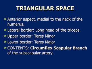 TRIANGULAR SPACE   Anterior aspect, medial to the neck of the humerus.  Lateral border: Long head of the triceps.  Upper border: Teres Minor  Lower border: Teres Major  CONTENTS:  Circumflex Scapular Branch  of the subscapular artery.  