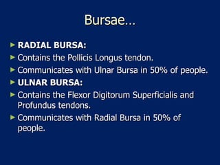 Bursae… RADIAL BURSA:   Contains the Pollicis Longus tendon.  Communicates with Ulnar Bursa in 50% of people.  ULNAR BURSA:  Contains the Flexor Digitorum Superficialis and Profundus tendons.  Communicates with Radial Bursa in 50% of people.  