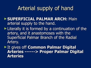 Arterial supply of hand SUPERFICIAL PALMAR ARCH:  Main arterial supply to the hand.  Literally it is formed by a continuation of the artery, and it anastomoses with the Superficial Palmar Branch of the Radial Artery.  It gives off  Common Palmar Digital Arteries ------> Proper Palmar Digital Arteries   