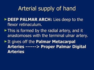 Arterial supply of hand DEEP PALMAR ARCH:  Lies deep to the flexor retinaculum.  This is formed by the radial artery, and it anastomoses with the terminal ulnar artery.  It gives off the  Palmar Metacarpal Arteries ------> Proper Palmar Digital Arteries   