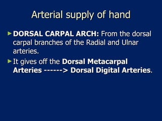 Arterial supply of hand DORSAL CARPAL ARCH:  From the dorsal carpal branches of the Radial and Ulnar arteries.  It gives off the  Dorsal Metacarpal Arteries ------> Dorsal Digital Arteries .  