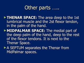 Other parts ….. THENAR SPACE:  The area deep to the 1st lumbrical muscle and the 2st flexor tendon, in the palm of the hand.  MIDPALMAR SPACE:  The medial part of the deep palm of the hand, deep to the rest of the flexor tendons. It is next to the Thenar Space.  A SEPTUM separates the Thenar from MidPalmar spaces.  