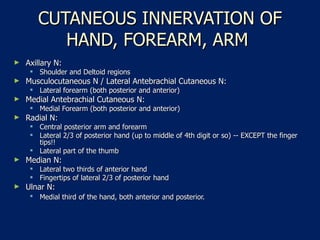 CUTANEOUS INNERVATION OF HAND, FOREARM, ARM  Axillary N:  Shoulder and Deltoid regions  Musculocutaneous N / Lateral Antebrachial Cutaneous N:  Lateral forearm (both posterior and anterior)  Medial Antebrachial Cutaneous N:  Medial Forearm (both posterior and anterior)  Radial N:  Central posterior arm and forearm  Lateral 2/3 of posterior hand (up to middle of 4th digit or so) -- EXCEPT the finger tips!!  Lateral part of the thumb  Median N:  Lateral two thirds of anterior hand  Fingertips of lateral 2/3 of posterior hand  Ulnar N:  Medial third of the hand, both anterior and posterior.   