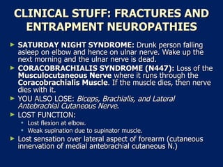 CLINICAL STUFF: FRACTURES AND ENTRAPMENT NEUROPATHIES SATURDAY NIGHT SYNDROME:  Drunk person falling asleep on elbow and hence on ulnar nerve. Wake up the next morning and the ulnar nerve is dead.  CORACOBRACHIALIS SYNDROME (N447):  Loss of the  Musculocutaneous Nerve  where it runs through the  Coracobrachialis Muscle . If the muscle dies, then nerve dies with it.  YOU ALSO LOSE:  Biceps, Brachialis, and Lateral Antebrachial Cutaneous Nerve .  LOST FUNCTION:  Lost flexion at elbow.  Weak supination due to supinator muscle.  Lost sensation over lateral aspect of forearm (cutaneous innervation of medial antebrachial cutaneous N.)  